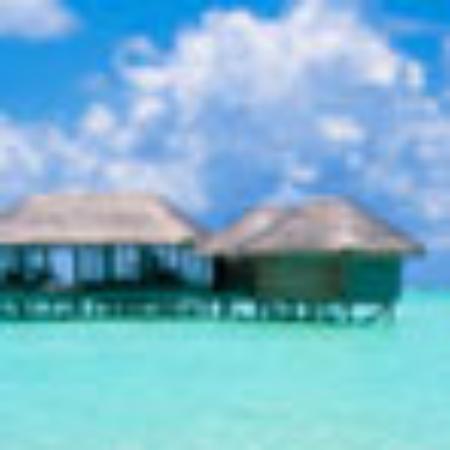 Eun Gyeongi Ne Gimbap